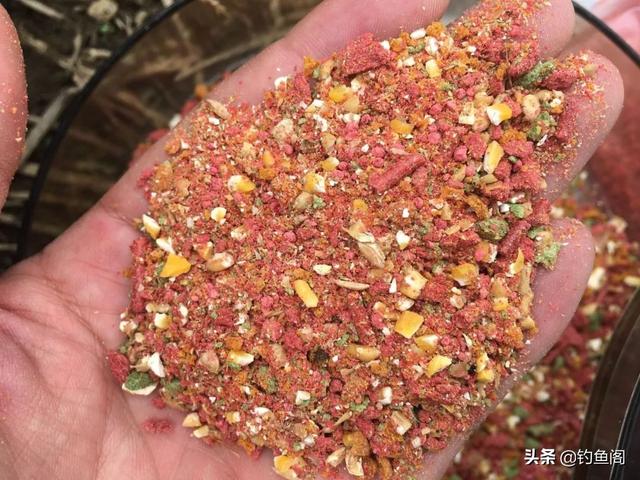 野生鲤鱼特别“精”，一定要投其所好才能尽快将其诱进窝