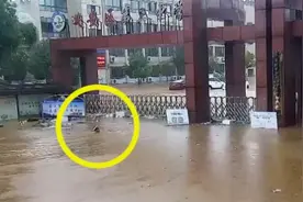 暴雨里的最帅泳士！交警小哥：积水中游到学校 是怕有学生滞留图片