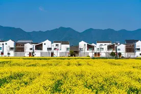 浙江农村究竟有多富？图片