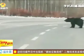 公路上演“熊出没”，黑熊大摇大摆出现公路上，行人纷纷避让视频封面