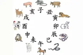 同为中国人，原来我们用的不是同一套生肖……图片