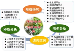 什么是“神农种业实验室”？参与建设的这两所河南高校将如何助力？图片