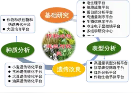 什么是“神农种业实验室”？参与建设的这两所河南高校将如何助力？图片
