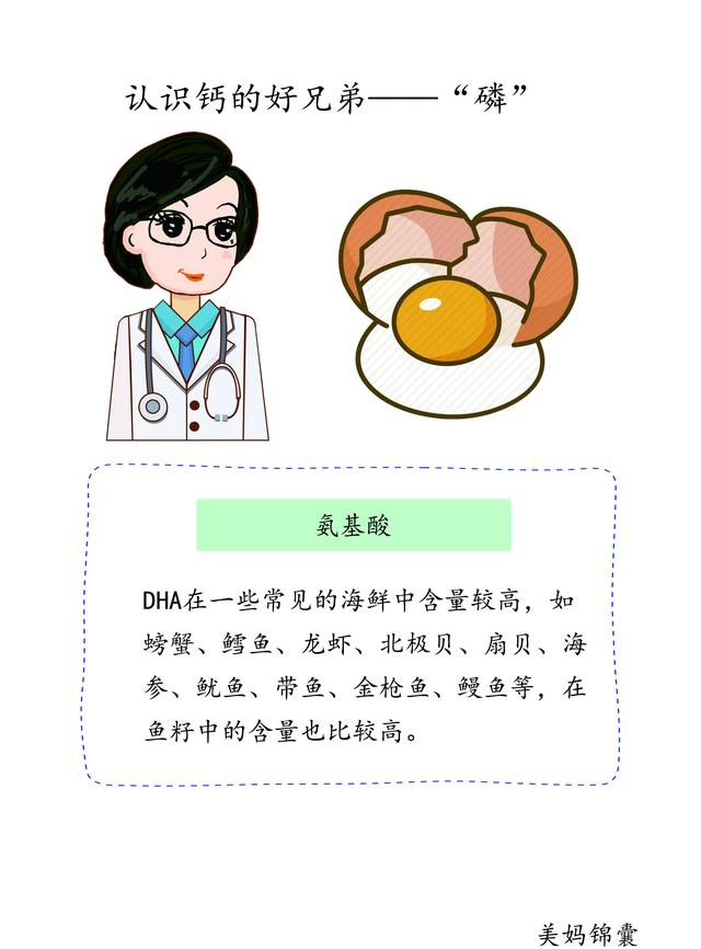 孕期必备营养素之氨基酸和DHA