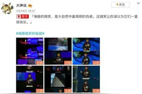 33年杀死3人，海豚的微笑，是全世界最残忍的骗局图片