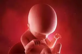 怀孕时的宝宝在肚子里的体重，大小图片