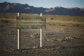 马云天价打造的蚂蚁森林，4年过去了，如今变成了什么样？图片