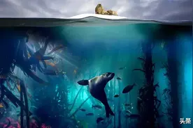 9.4分，BBC大牛这次出手，不是神作是毁灭图片