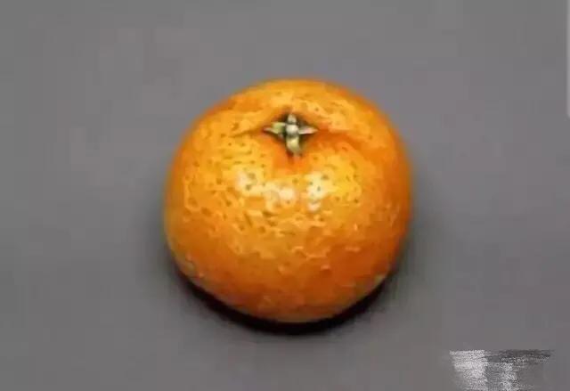 情侣之间互相整蛊的小游戏