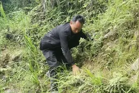 奋战地灾防治一线的“侦察兵”——你皮木达图片