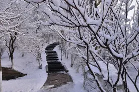 北国风光千里冰封万里雪飘图片