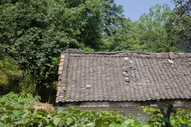 寻访秦岭农家乐：农家乐有什么好写的？当然有！农家乐有我的故事图片