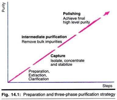 蛋白纯化策略--纯化方案的确定