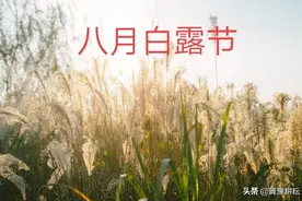 八月初一来，老农说：“不怕初一太阳笑，就怕初一阵头落”，为啥图片