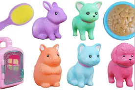 你见过会变色的小动物吗？迪士尼套装玩具视频封面