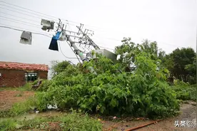 「视频」大风大雨龙卷风突袭，滨州供电“上天下水”抢修受损设施图片