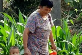 一个婆婆的辛酸与无奈图片