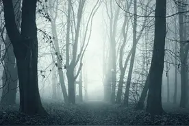 当代故事：小伙在荒山过夜，不慎掉入古墓，看到棺盖自己缓缓推开图片