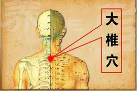 养好大椎阳气足图片