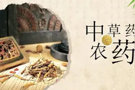 新技术！新突破！全国首款植物源杀螨剂强势来袭！图片