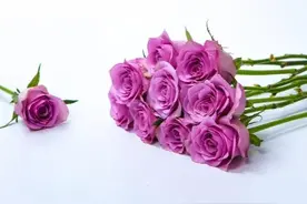 裸婚7年，丈夫送“8万钻戒”，妻子心疼去退货，售货员：赠品不退图片