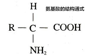 鏂板瀷鍐犵姸鐥呮瘨71锛?0绉嶆皑鍩洪吀锛岀敇姘ㄩ吀锛屼笝姘ㄩ吀