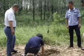 河南一伙盗墓者带洛阳铲，开车到江苏盗墓，挖到棺材后却撒腿跑了图片