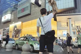 网红绑猫西藏骑行求关注，遭网友质疑回怼：比在家里刺激多了图片