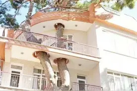 搞笑图片：原来催人还钱还可以这样玩？刘谦和伍佰两人都躺枪图片