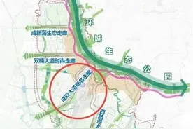双流空港门户商务景观大道，川藏路（成双大道）改造工程一期来了图片