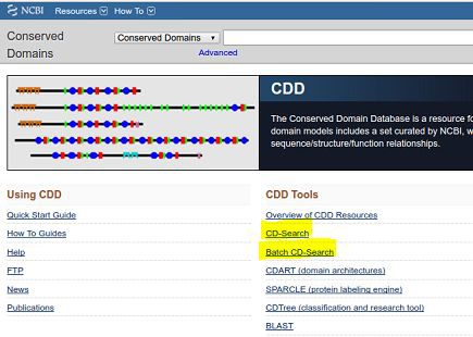 如何利用NCBI预测基因的结构域和保守位点
