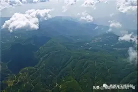 青山里的守望者，他把绿意洒满中国图片