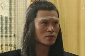 《白眉大侠》：刀是什么样的刀，金丝大环刀。再回首满目苍凉图片
