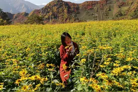 自驾长白山十五道沟沿途鸭绿江及对岸朝鲜风景图片