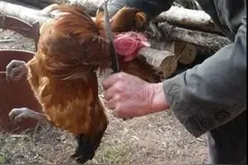 故事：张大嘴生下来就是一个馋鬼，日子好过了，却得了不能吃的病图片