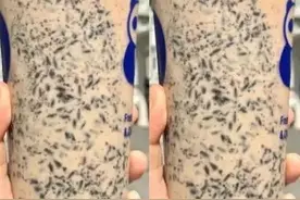 我想喝的是奶茶，不是粥，谢谢图片