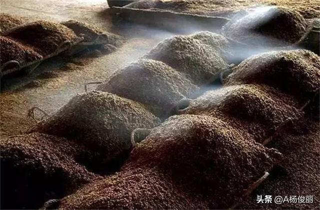 真全粮杨俊丽-堆积发酵与自然发酵的发酵技术