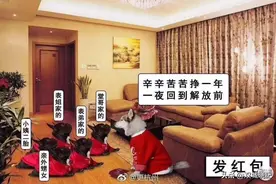 过年就是回一趟家，见一见想见的人图片