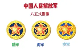 中国人民解放军85式军服(帽徽、领章、肩章、军帽)图片
