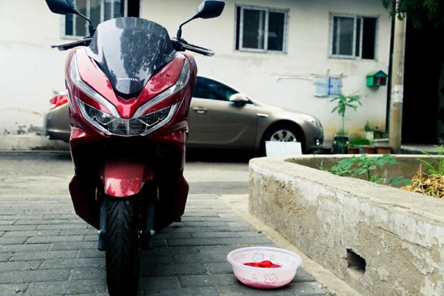 Honda PCX提车300km！提车报告来啦！