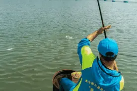五一小池塘钓鲤鱼，由失败的作钓经历，分析鲤鱼不吃饵的原因图片