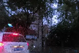谢谢你，陌生人图片
