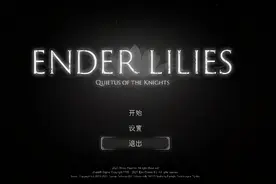 《ENDER LILIES》：体验一场萝莉与骑士的救赎之旅图片