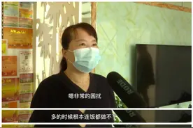 泉民生现场|困扰居民的绿毛莹甲虫 社区用这个方法解决图片