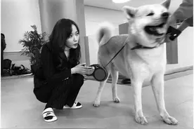 王珞丹发布“寻鸭启事”，监控竟然看到当事人眉欢眼笑图片