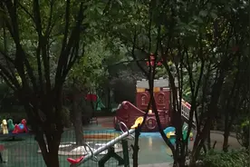 武汉一儿童乐园惊现剧毒银环蛇！为中国最毒的蛇，被咬了怎么办？图片