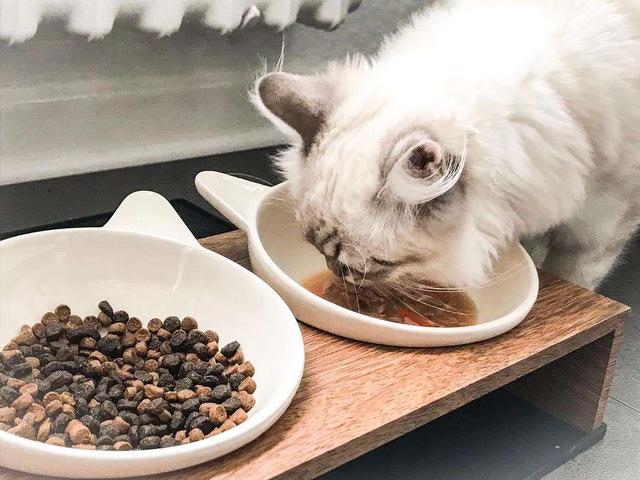 猫需要22种氨基酸，其中11种必不可少，牛磺酸是猫胆盐唯一来源