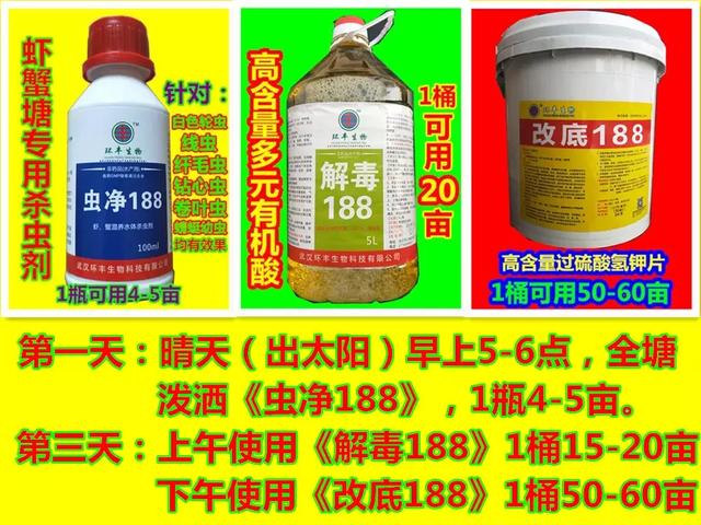 锦鲤繁殖的5个小常识.