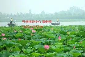 内江医科学校2020年招生简章图片