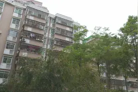 春天来了，深圳“怪鸟”昼夜鸣叫，扰人清梦图片